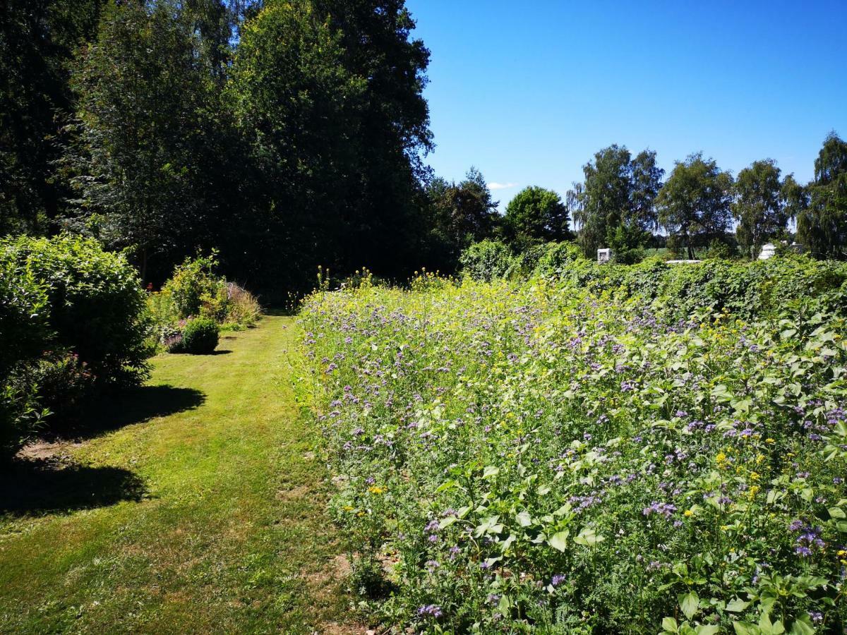 Ferienwohnungen Tewes Müden 外观 照片