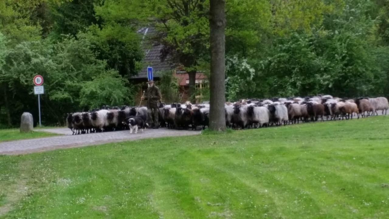 Ferienwohnungen Tewes Müden 外观 照片