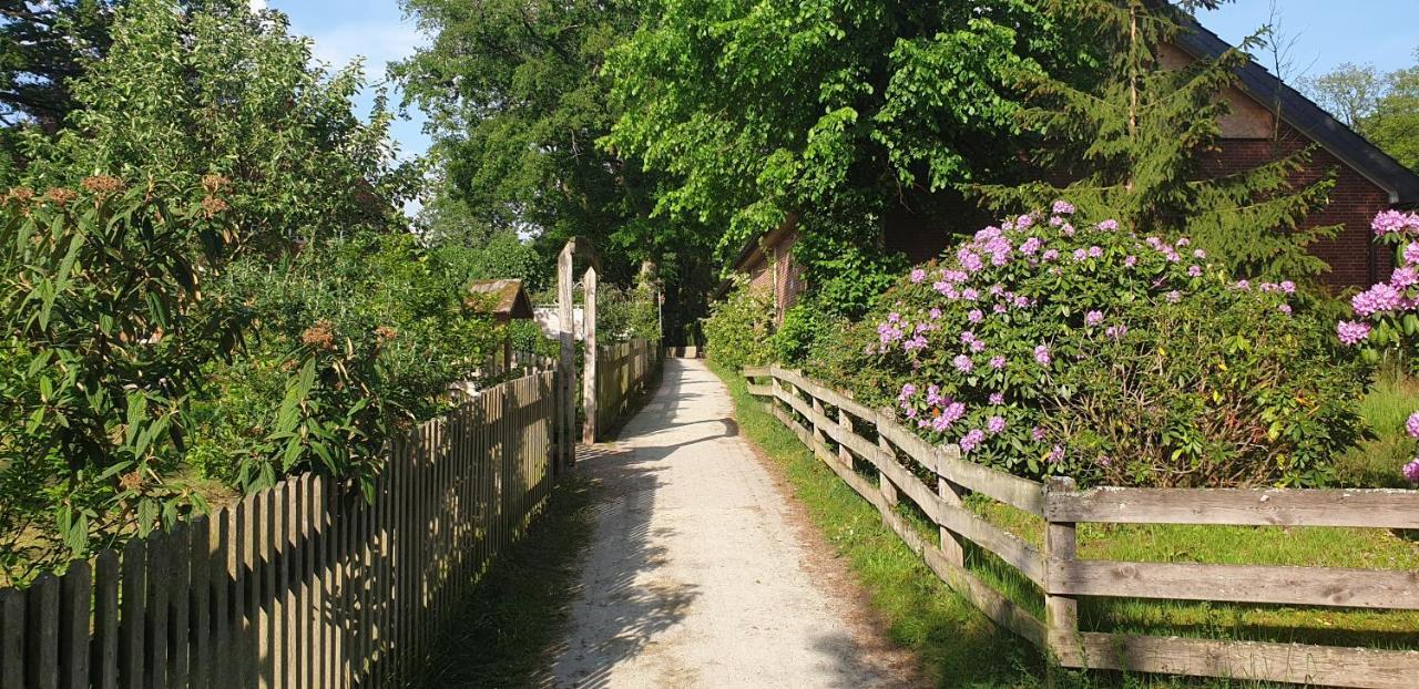 Ferienwohnungen Tewes Müden 外观 照片